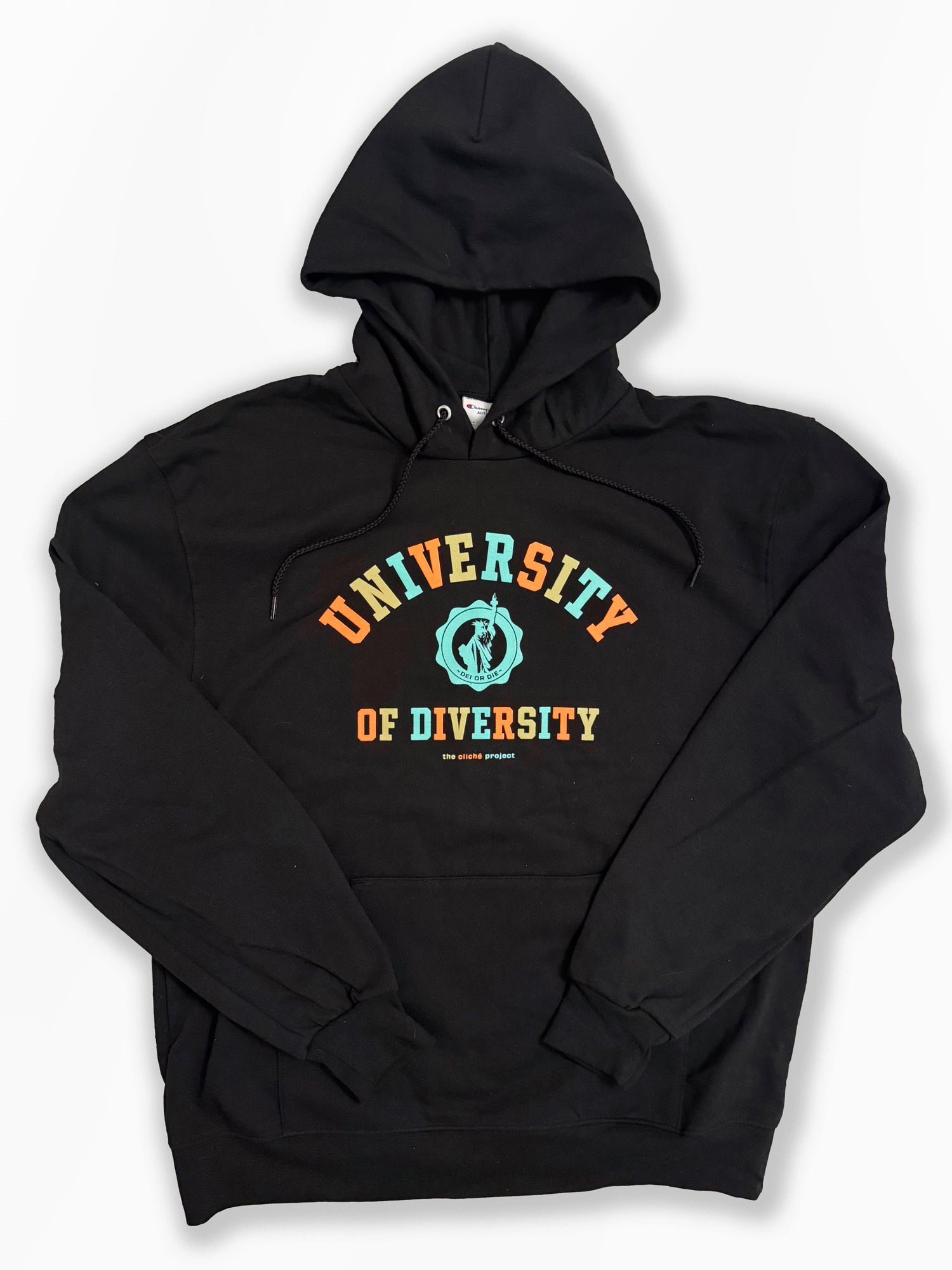 University of Diversity Hoodie: Autumn 2026 edition