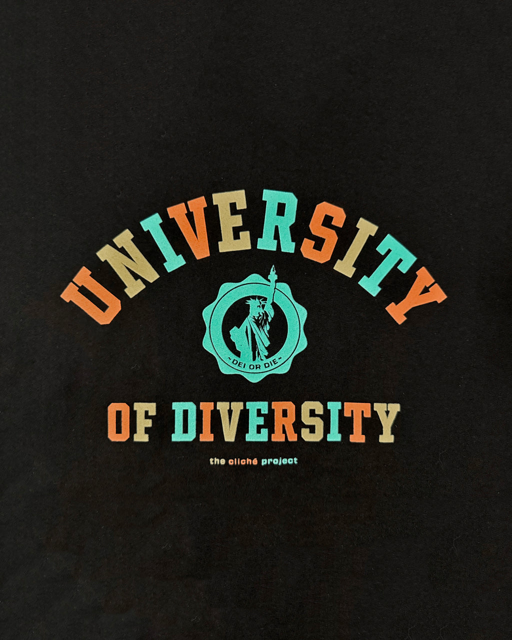 University of Diversity Hoodie: Autumn 2026 edition