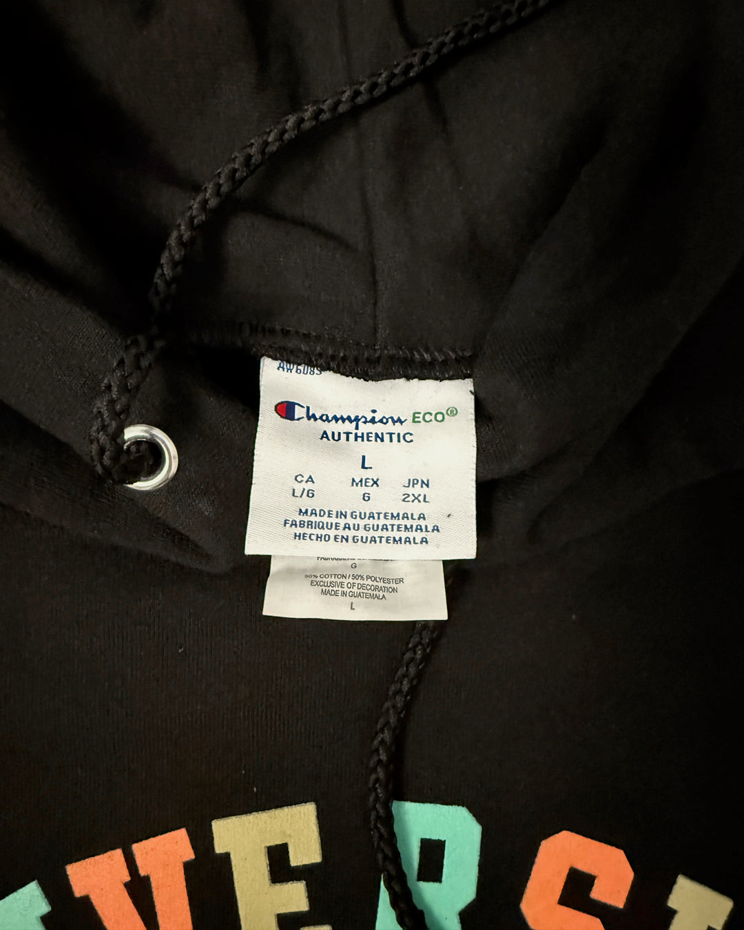 University of Diversity Hoodie: Autumn 2026 edition